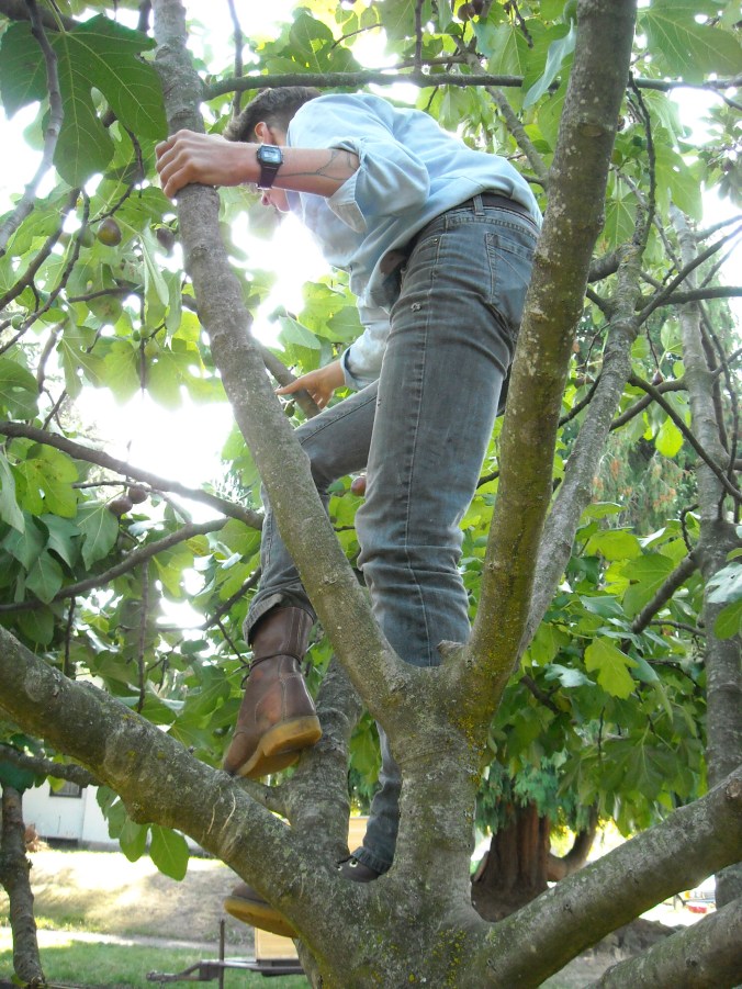 early october portland 027