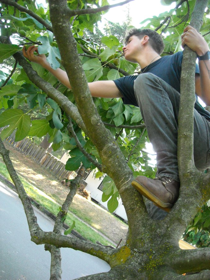 early october portland 030