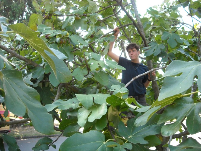 early october portland 042