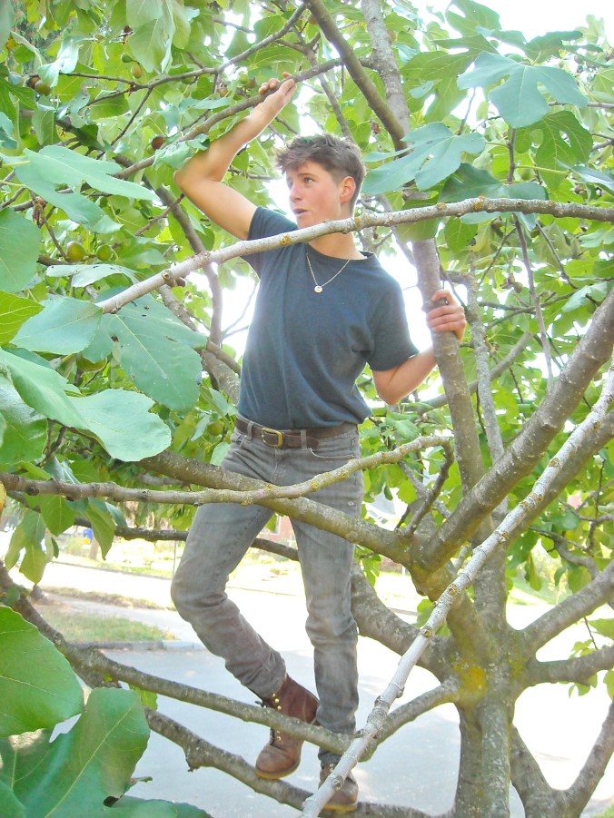 early october portland 045