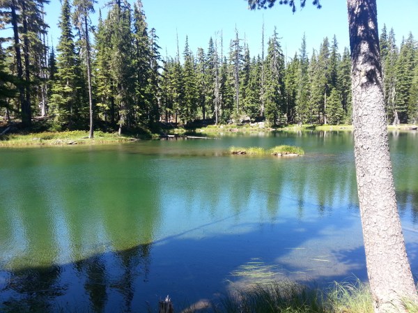 pacific crest trail 3182