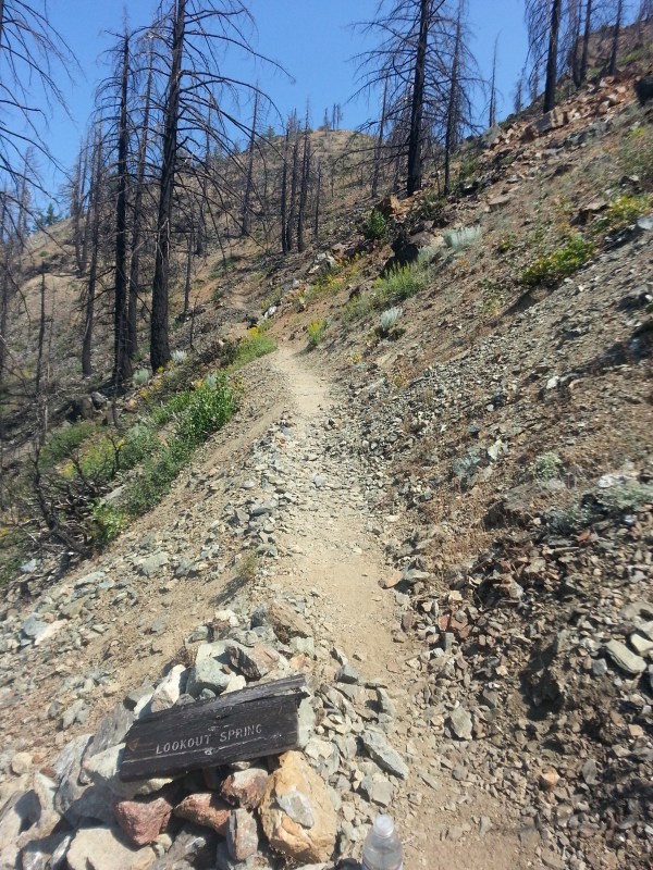 pacific crest trail 498