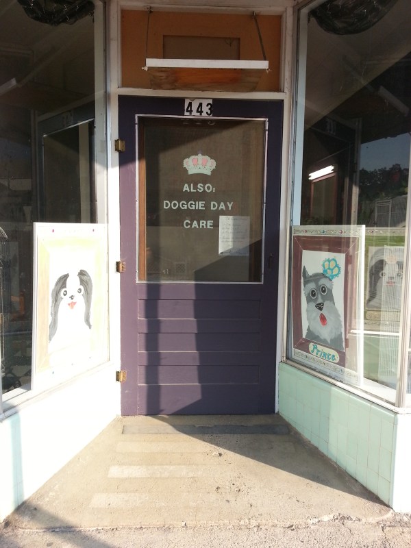 pacific crest trail 563