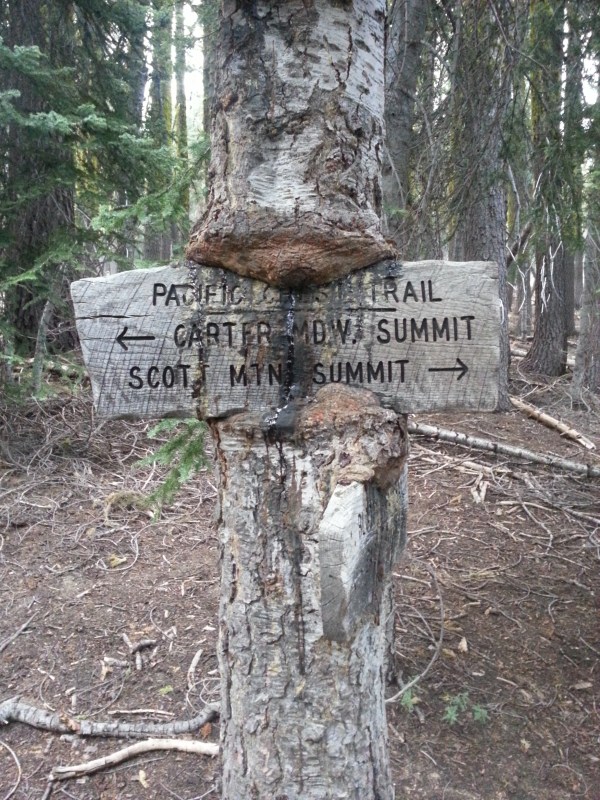 pacific crest trail 615