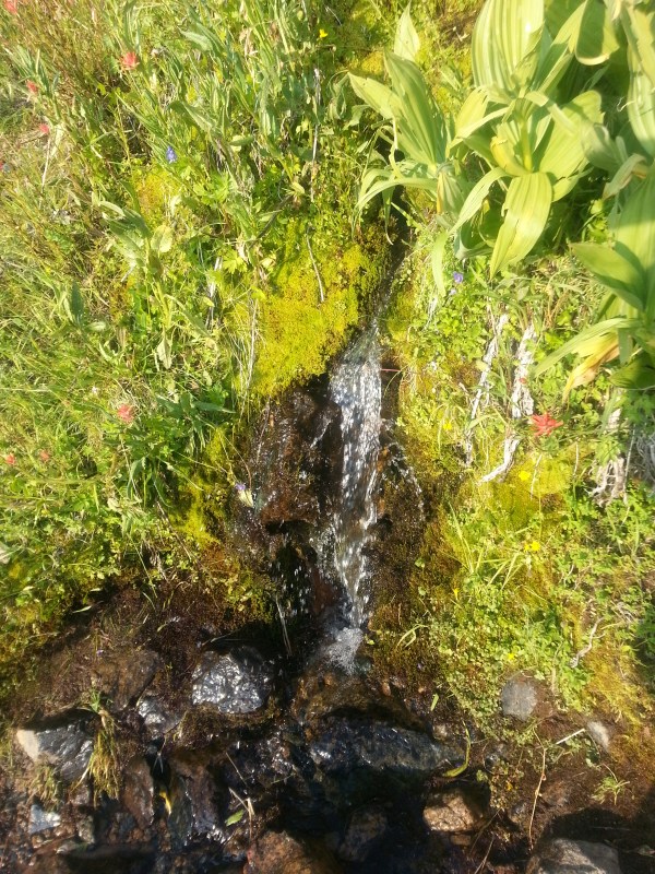 pacific crest trail 660