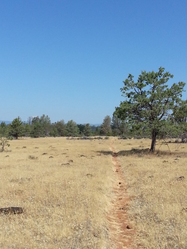 pacific crest trail 770