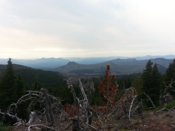 pacific crest trail 3269