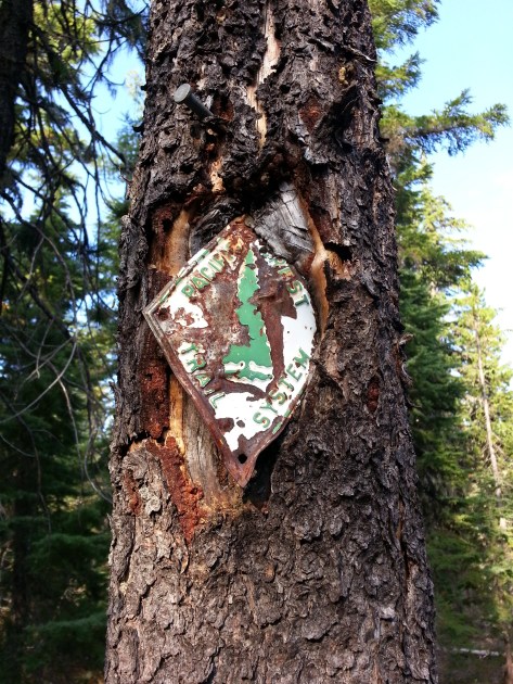 pacific crest trail 3324