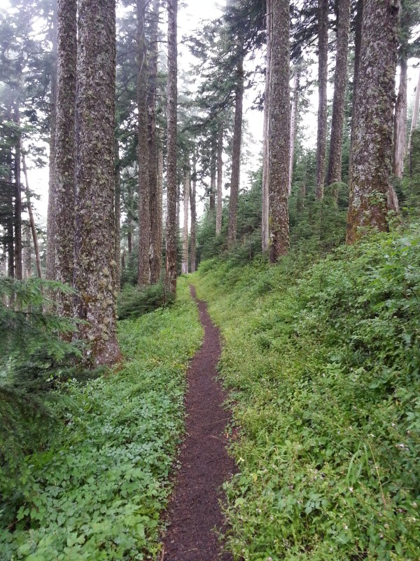 pacific crest trail 3393