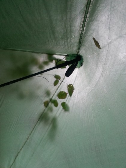 pacific crest trail 3474