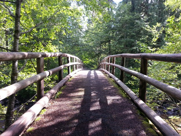 pacific crest trail 3489