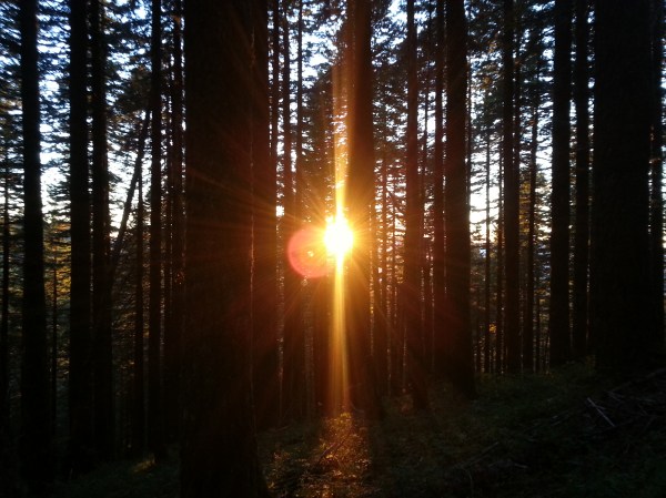 pacific crest trail 3537