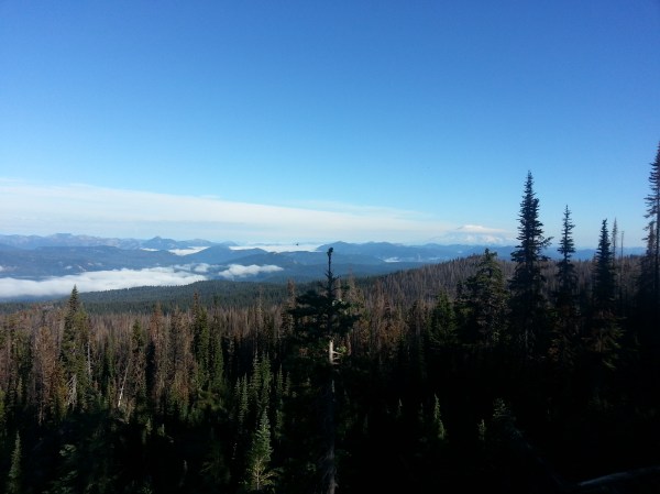 pacific crest trail 3590