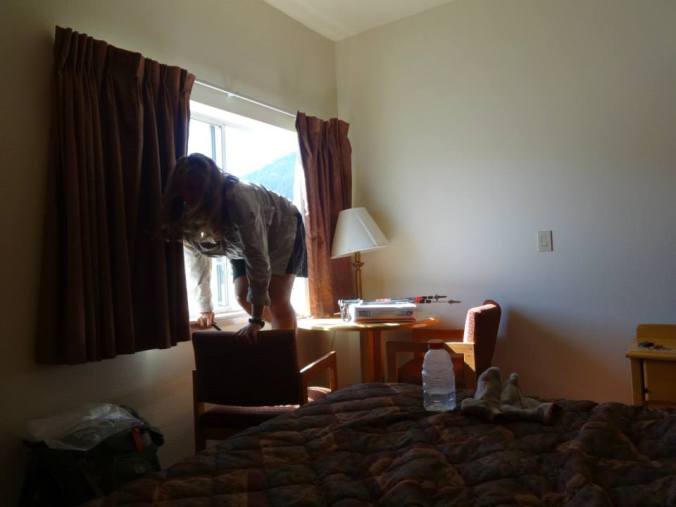 Instigate climbing in the window. Photo by Spark.