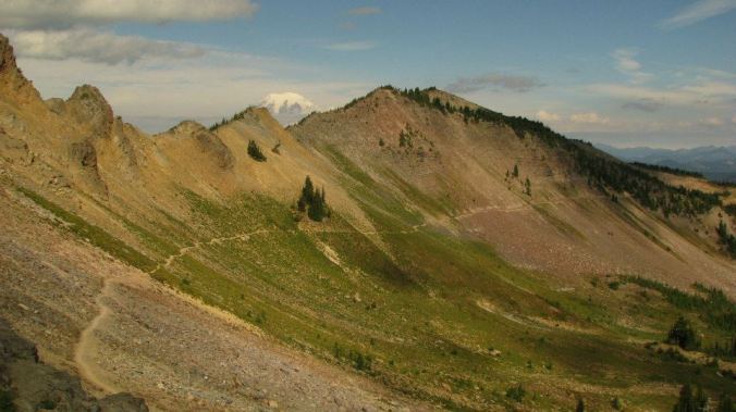 beauty beauty beauty