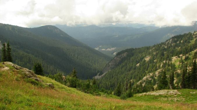 559875_10151683807585849_545962480_n