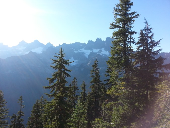 pacific crest trail 3916