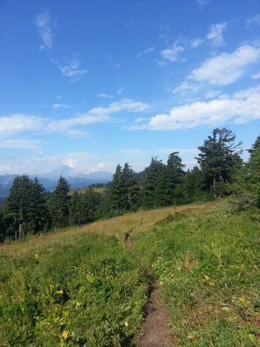 pacific crest trail 4013