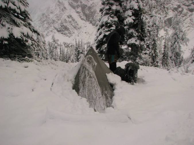 1385591_10151688843640849_177210240_n