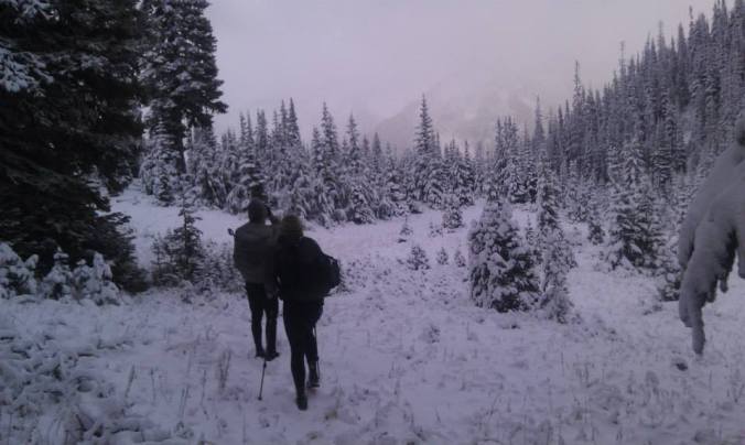 Instigate and Spark on the last morning. (Photo by Scrub.)