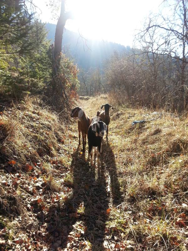 1490916_10151834186196373_1588914136_o