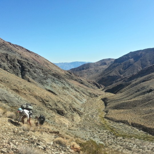 The climb out of Hanaupah canyon