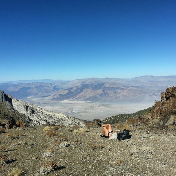 Chance surveys our desert kingdom.