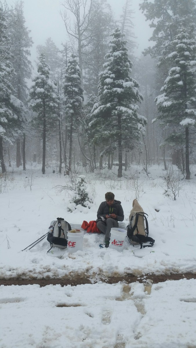 20160501_141001.jpg image