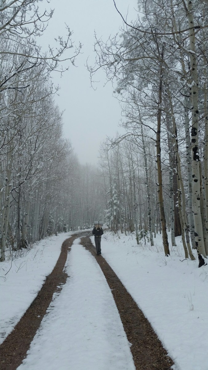 20160501_151054.jpg image