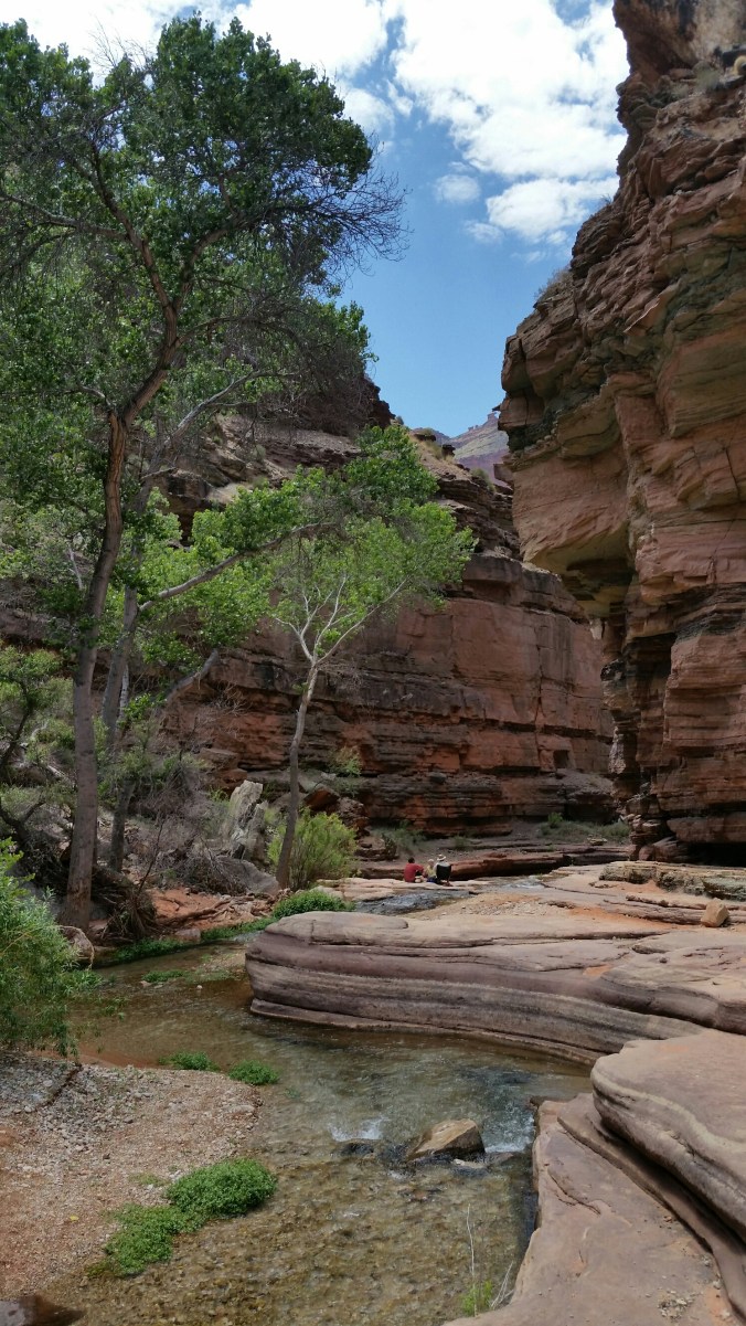 20160511_131844.jpg image