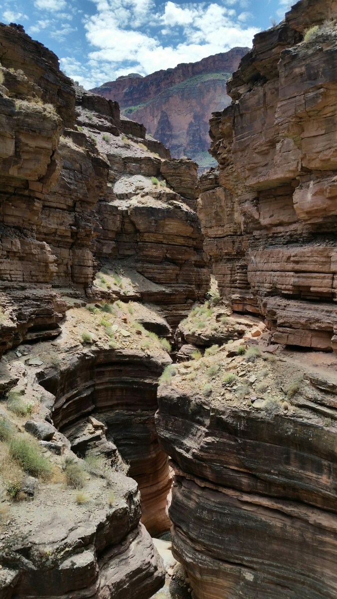 20160511_132140.jpg image